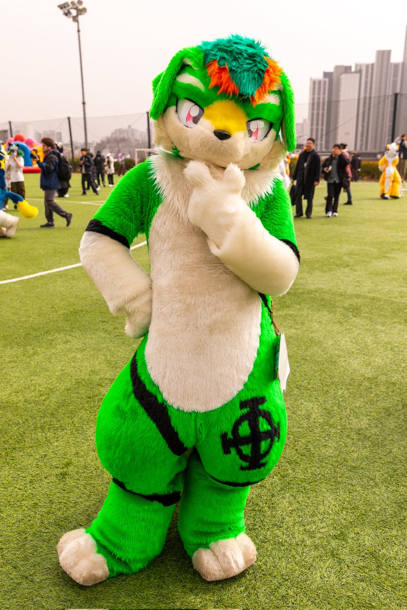 털뭉치앨범🍀 tweet media