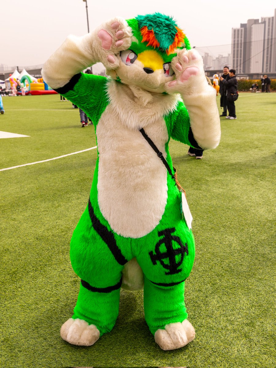 털뭉치앨범🍀 tweet media