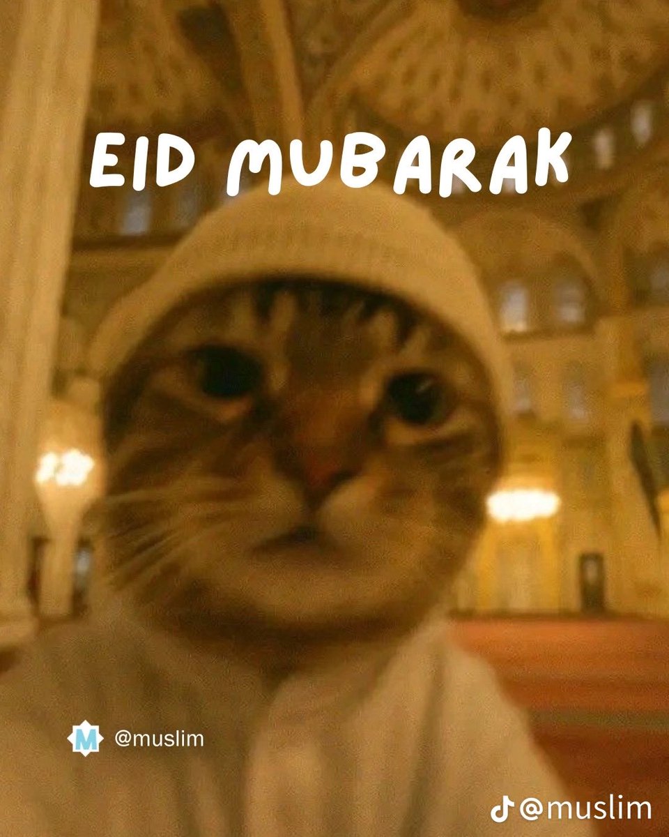 𝑭𝒂𝒓𝒉𝒂𝒏 !𓃵. tweet media