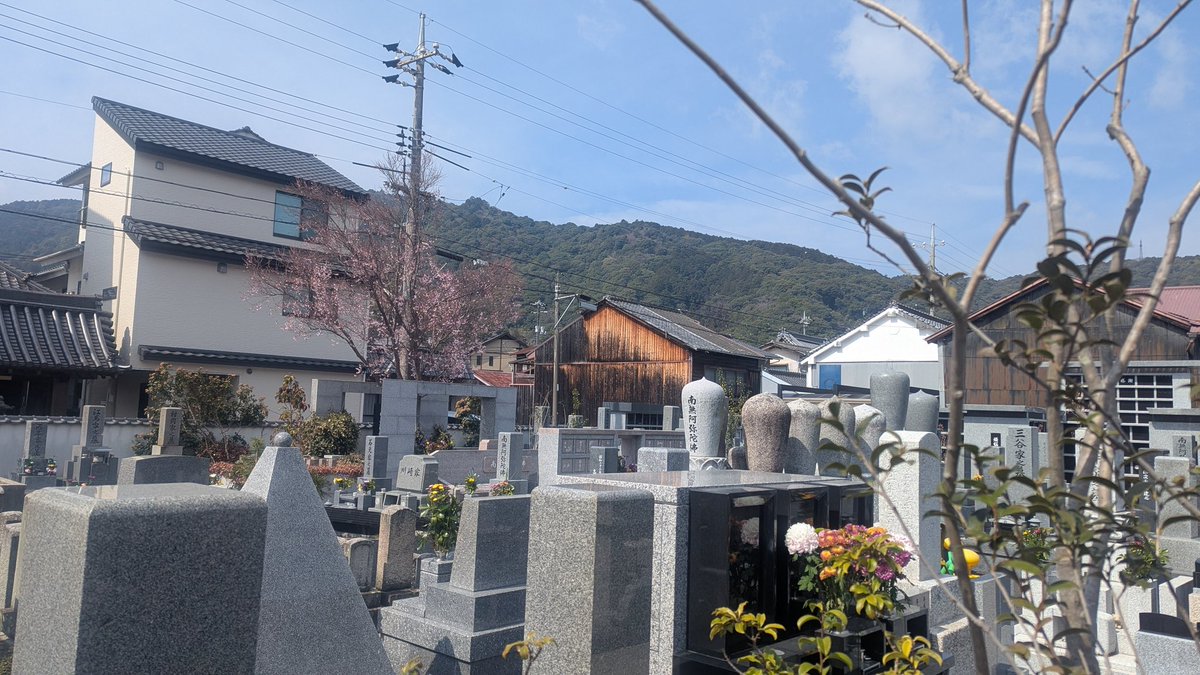 D.Kumagai🇯🇵 tweet media