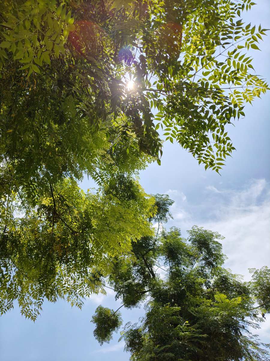 Desi Corey tweet media