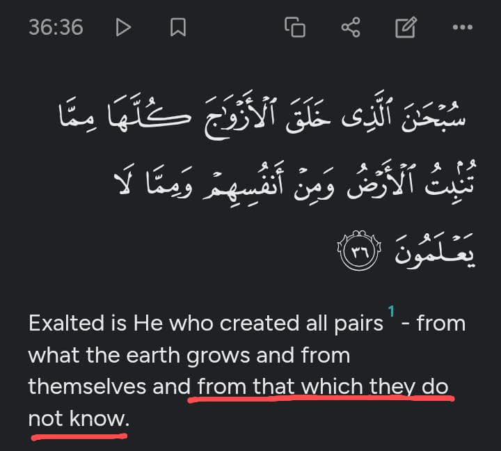 Blackameer tweet media