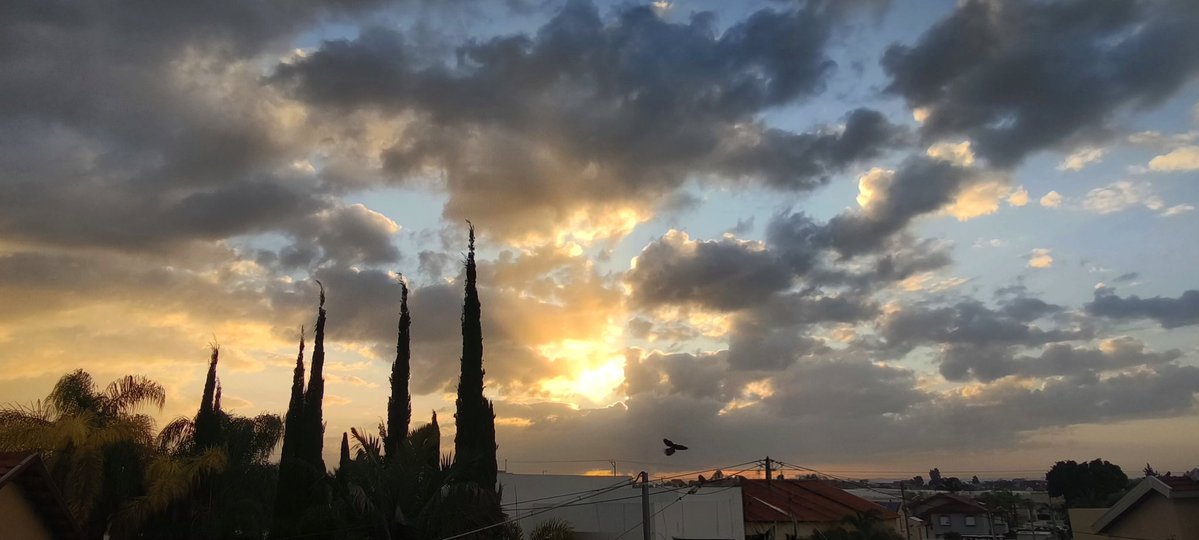 דבורה💚🌳💛🇮🇱 tweet media