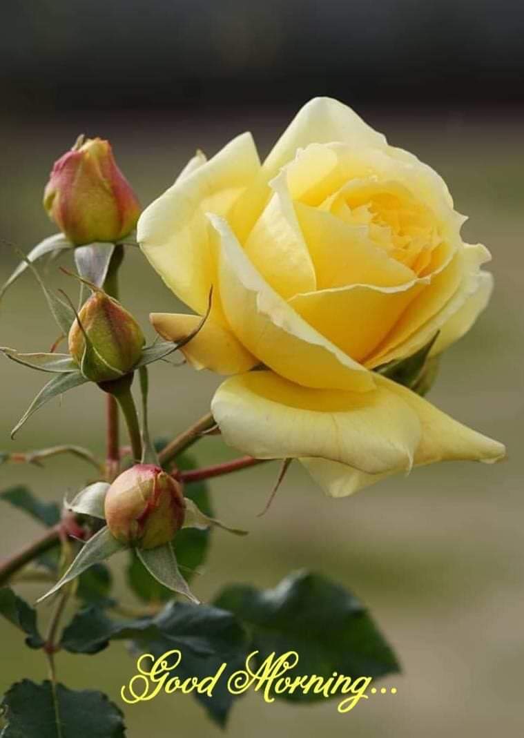 राम सुन्दर सिह tweet media