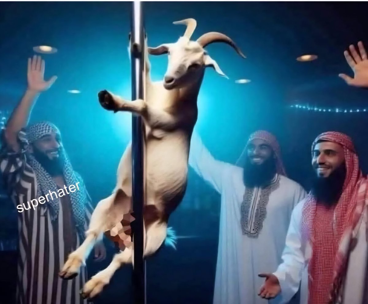 Jared Marsh tweet media