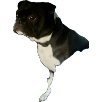 Refuse2Capitulate tweet media