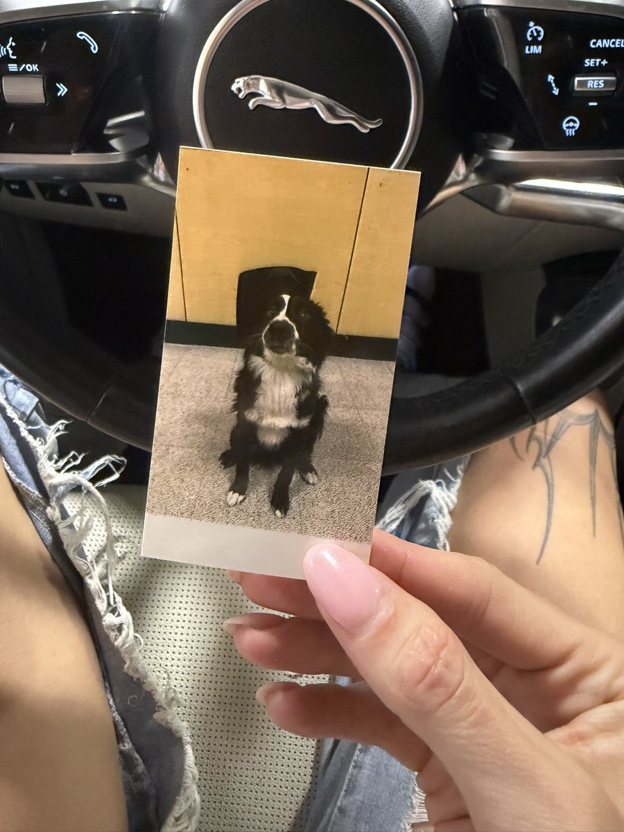 Bitchni Spears🍓 tweet media