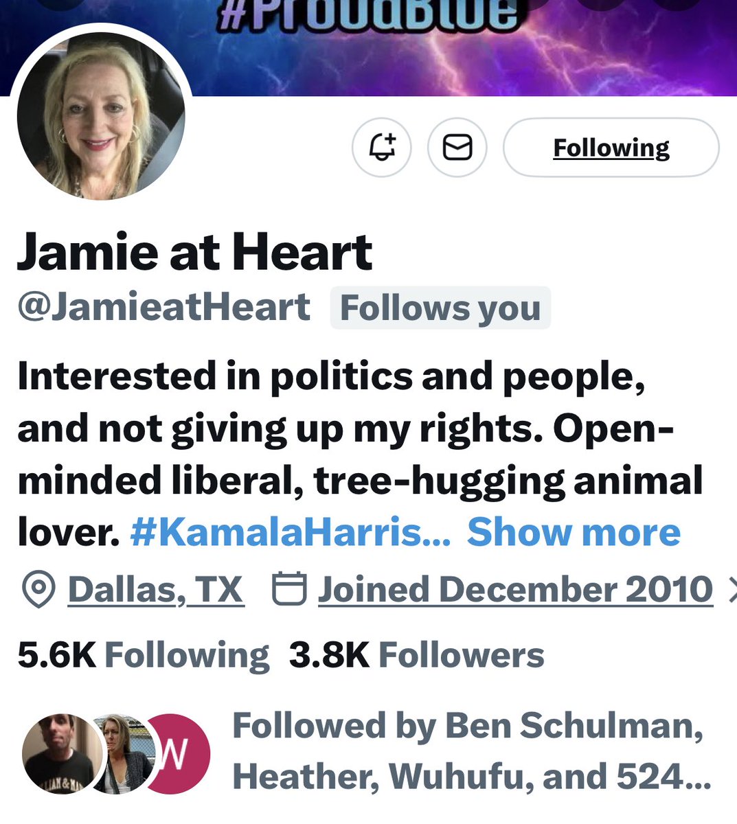 Turquoise Cat tweet media