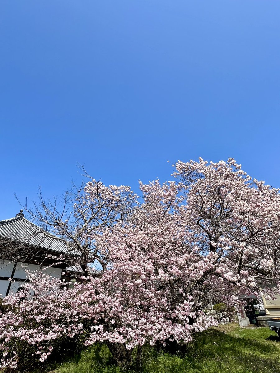 智恵理 tweet media