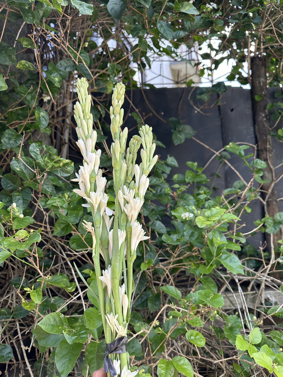 Kimmy (林潤娥) tweet media