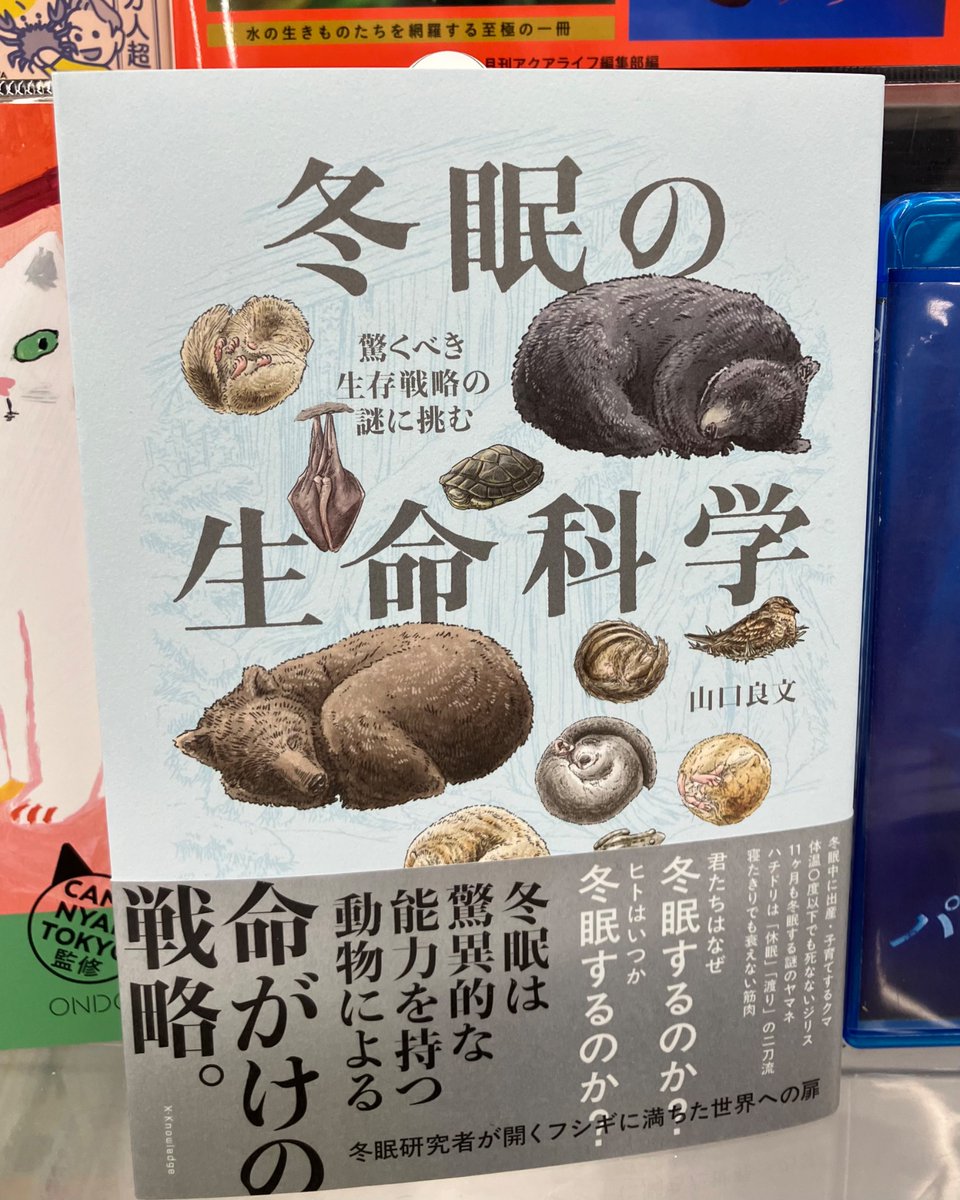 書泉グランデ | 神保町 tweet media