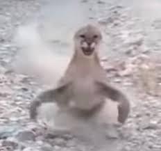 Alina ☀️ chronically offline tweet media