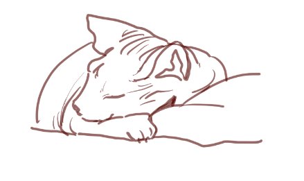 구이사 tweet media