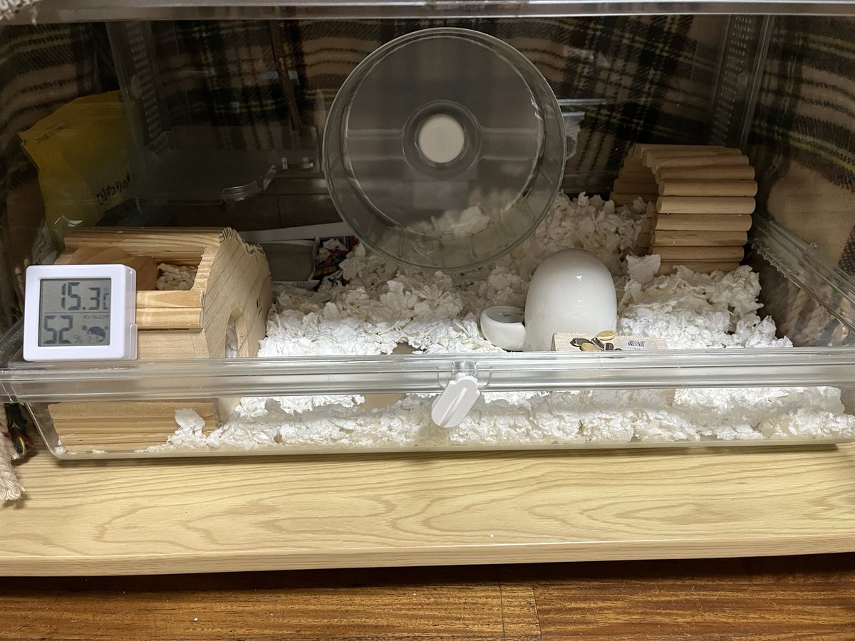 3cxRpb's tweet photo. ぽぽちゃんのケージは居間にあった。巣箱で眠っている姿を見て「かわいいねぇ」「あんな格好してる😊」と寝ているだけで皆を笑顔にしていた
食事中つい癖でケージを見てしまう
家主の居ないケージ　巣箱に集めた紙のくぼみもそのままで
気持ちが落ち着くまでそのままにしておいた https://t.co/h5ocCG9sD1