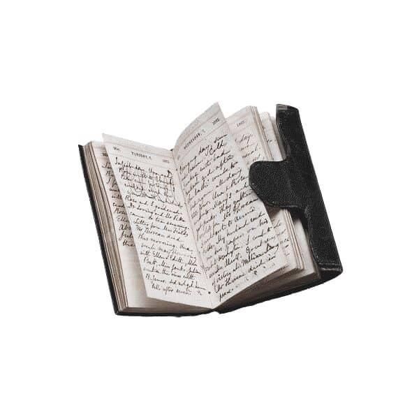 CHICHI / RIKU || TENCOUNT tweet media