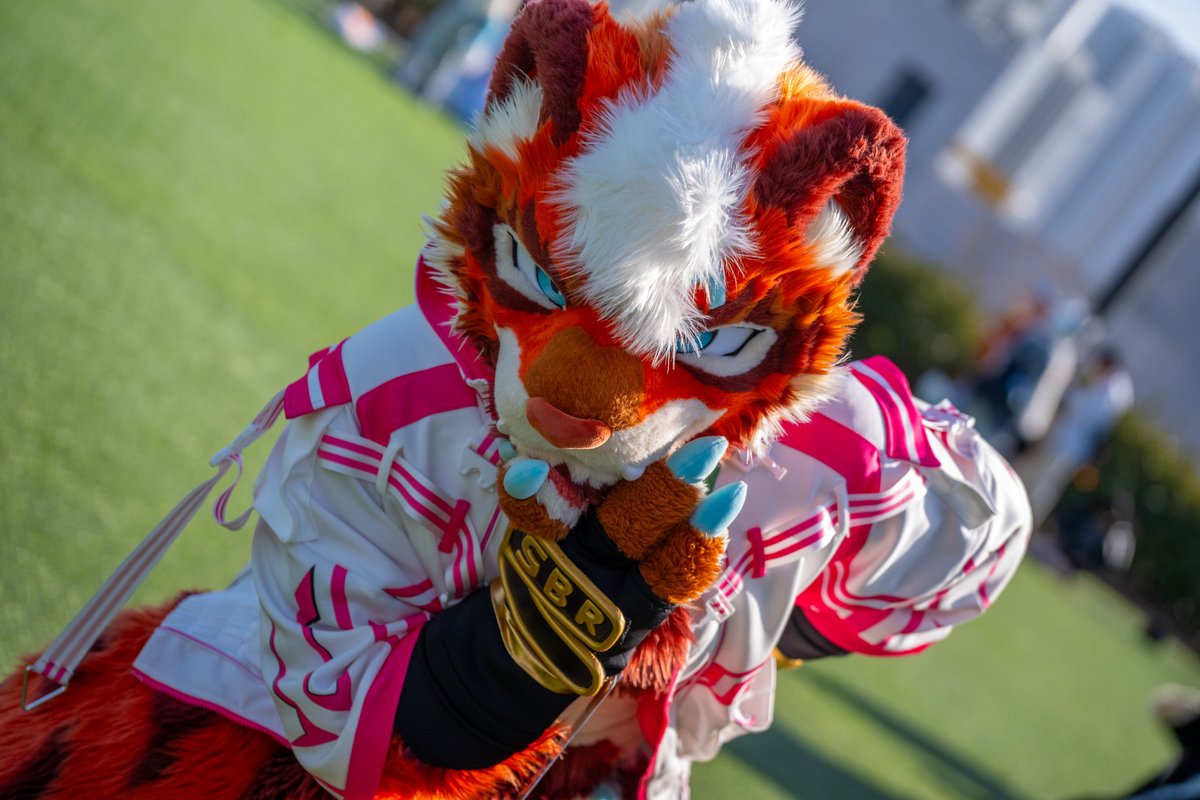 하보크 Havoc🔜FURST CLASS tweet media