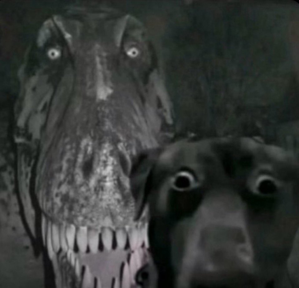 krissy⁷ ⦿ ☰ ☲ 🪭 tweet media