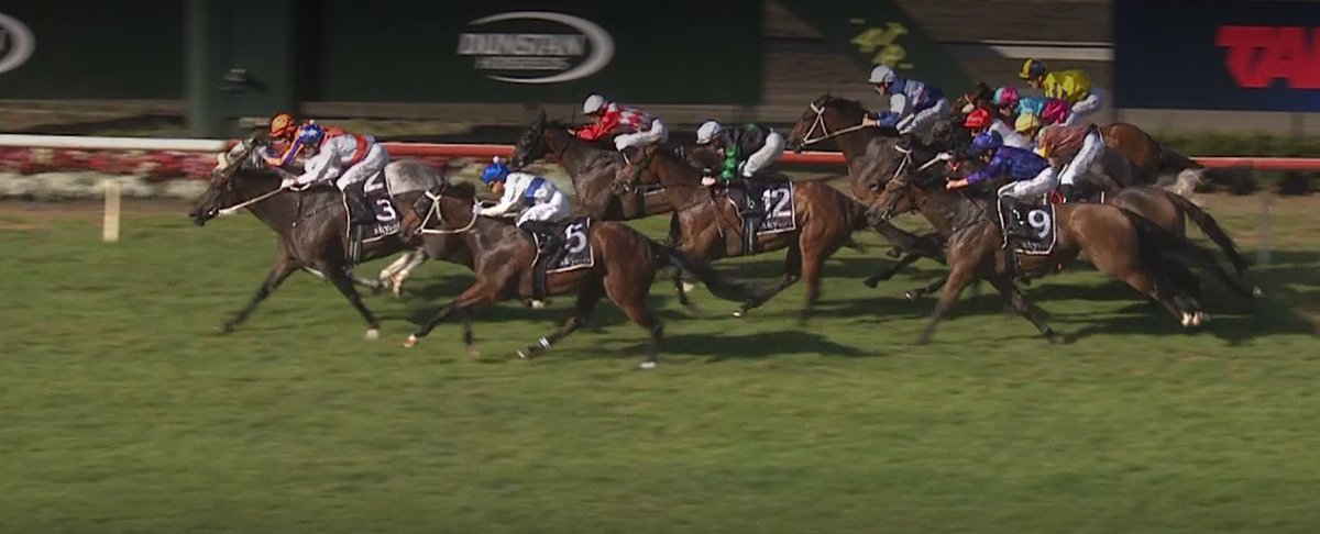 Ethan | NZ Racing tweet media