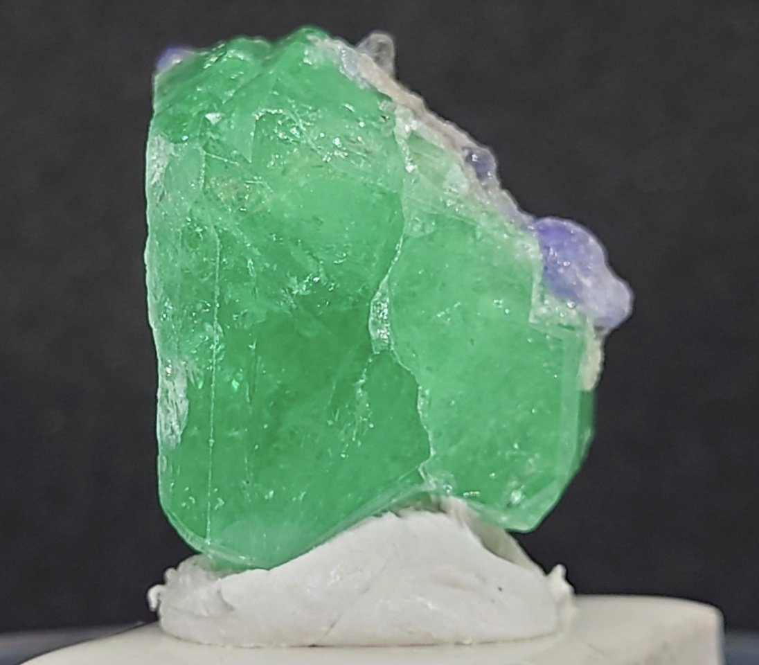 みどり tweet media