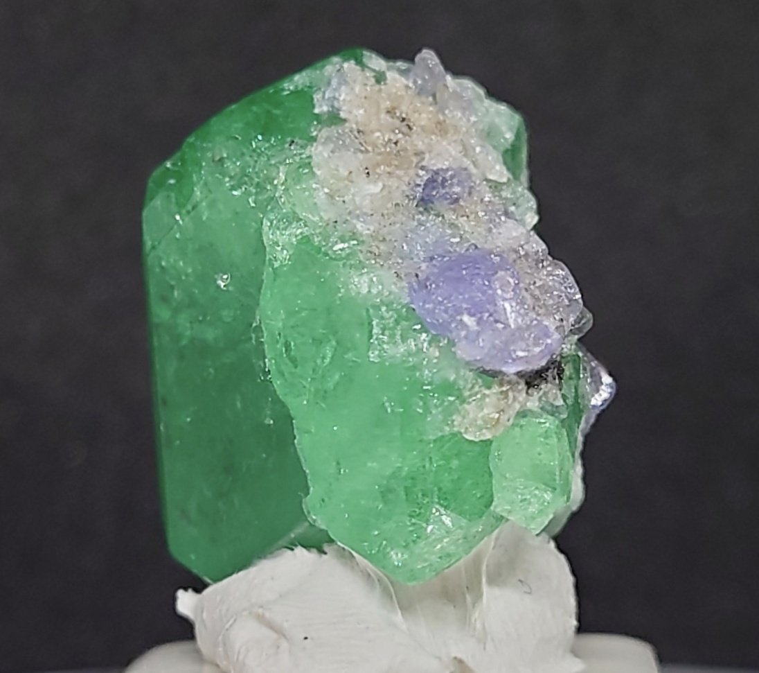 みどり tweet media