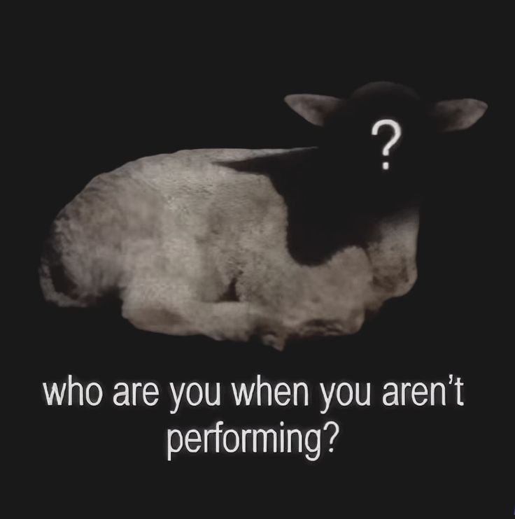 Father Andrew Blackwood tweet media