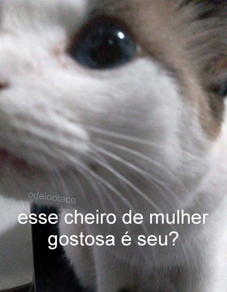 FanAnimation 夢 tweet media