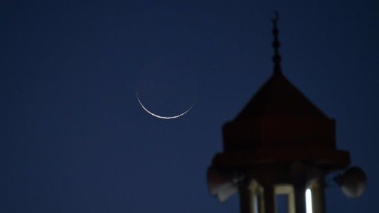 مسبار🔭Misbar tweet media