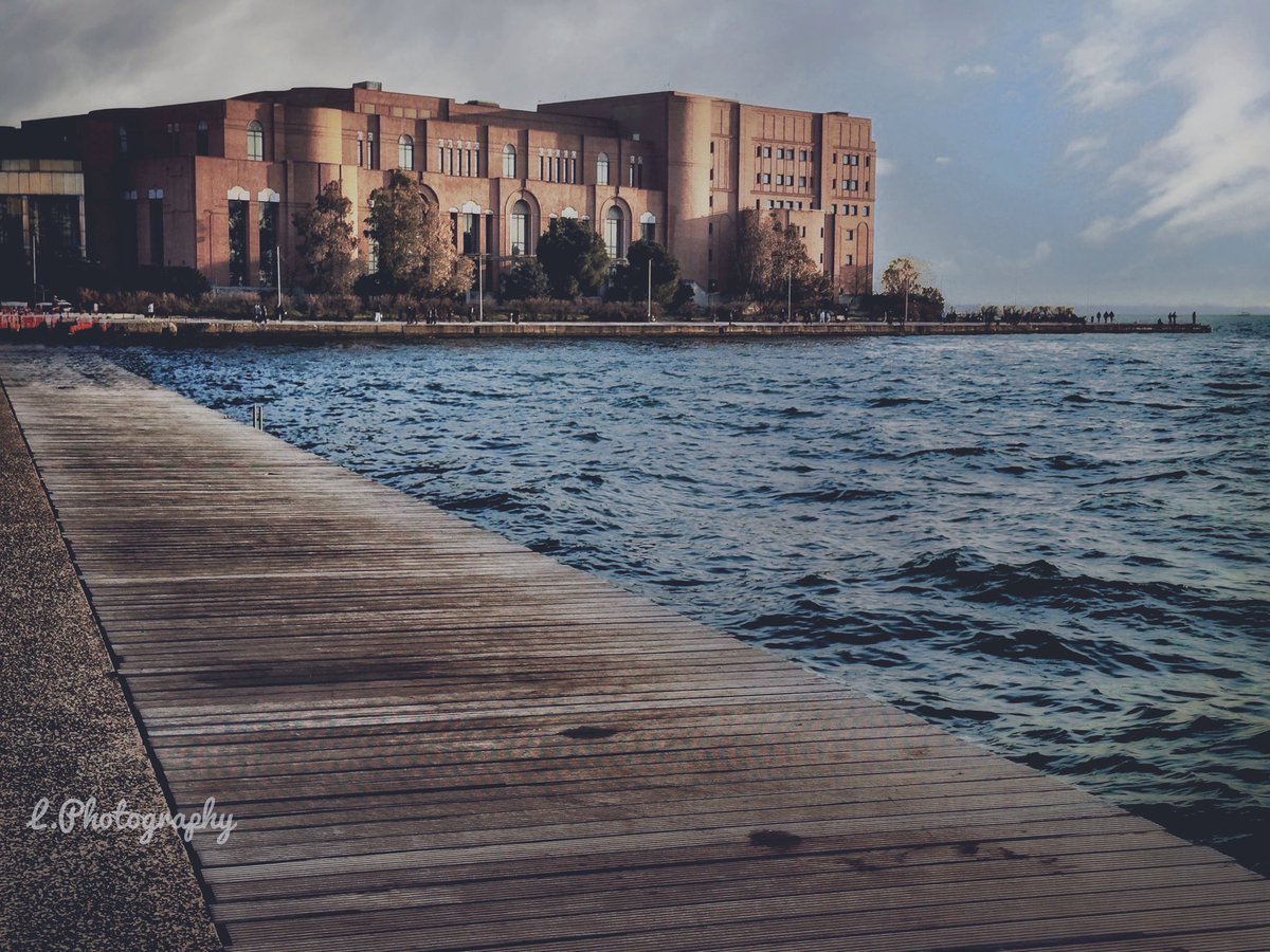 *Αγρίμι του βουνού* tweet media