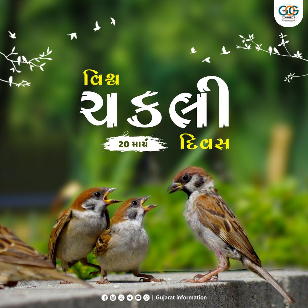 તા. 20 માર્ચ, વિશ્વ ચકલી દિવસ...

વિશ્વ ચકલી દિવસનો ઉદ્દેશ્ય લોકોમાં ચકલીના સંરક્ષણ અંગે જાગૃતિ ફેલાવવાનો; ઈકોલોજીકલ સંતુલન જાળવવાની સાથે-સાથે પરાગનયન અને બીજના વિસ્તરણમાં ચકલી મહત્ત્વની ભૂમિકા ભજવે છે...

#WorldSparrowDay #WorldSparrowDay2026