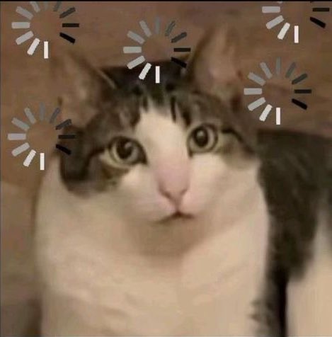 يمه يمكن هذي اغرب صلاة عيد اصليها