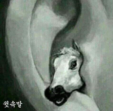 거제머스크 tweet media