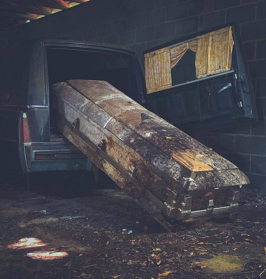 KARTAL KAMER tweet media