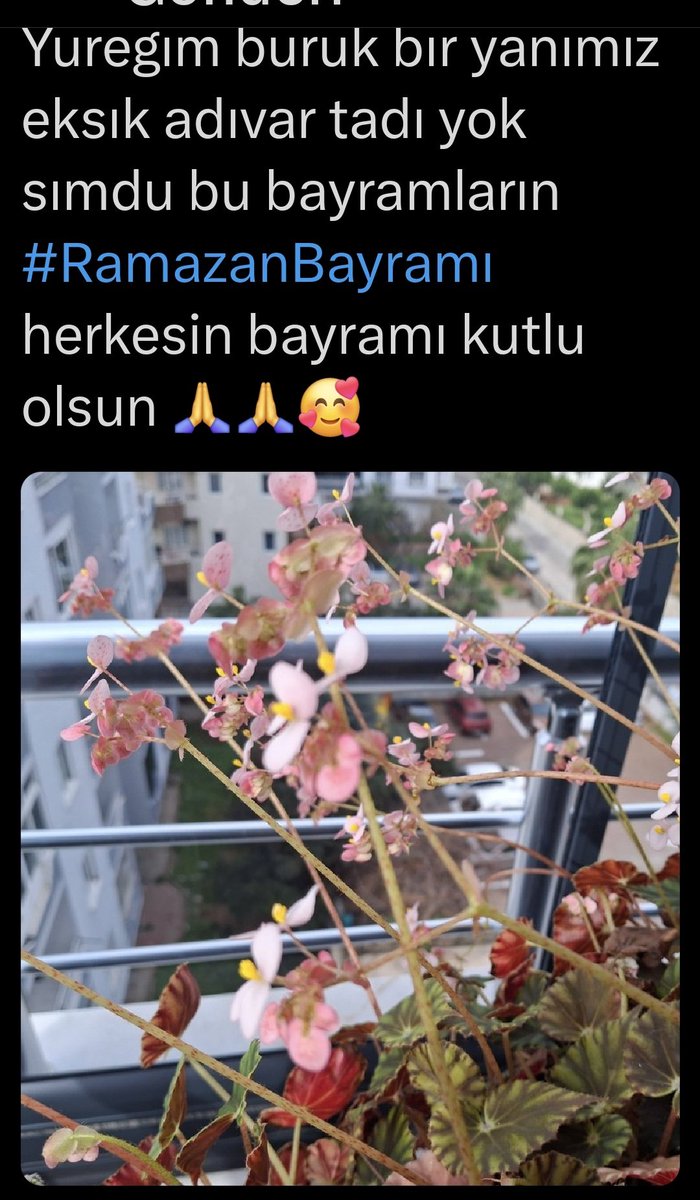 @BEYAZKUGU tweet media