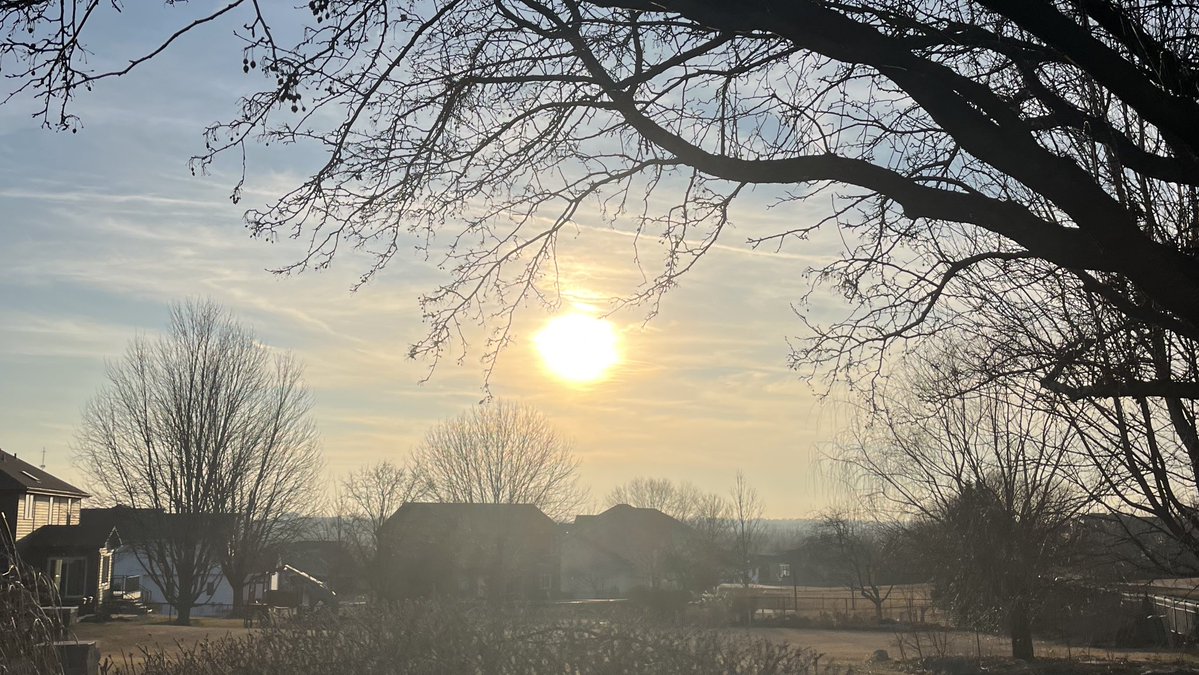 zoë rose bryant tweet media