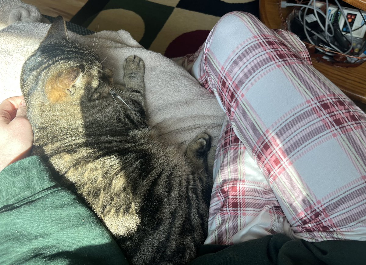 zoë rose bryant tweet media