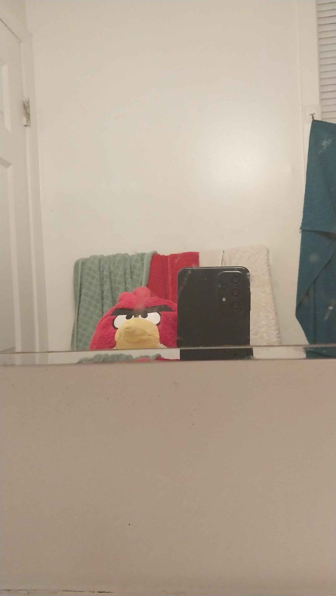 BIRDGUY255 tweet media