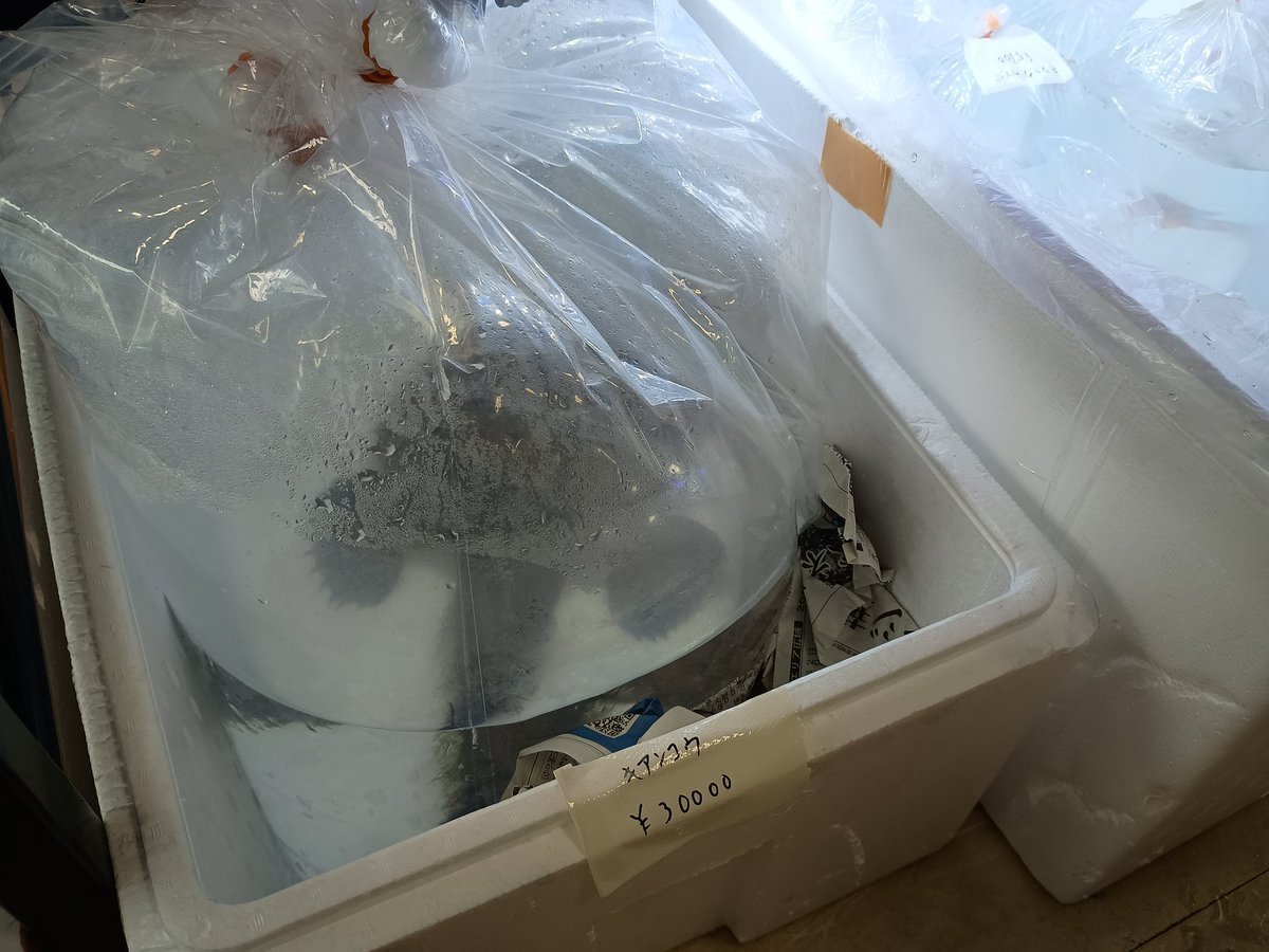 志々瀬 tweet media