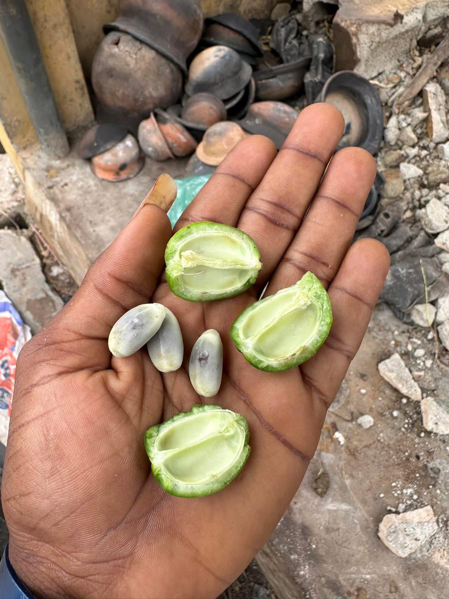 Ola omo Ola tweet media