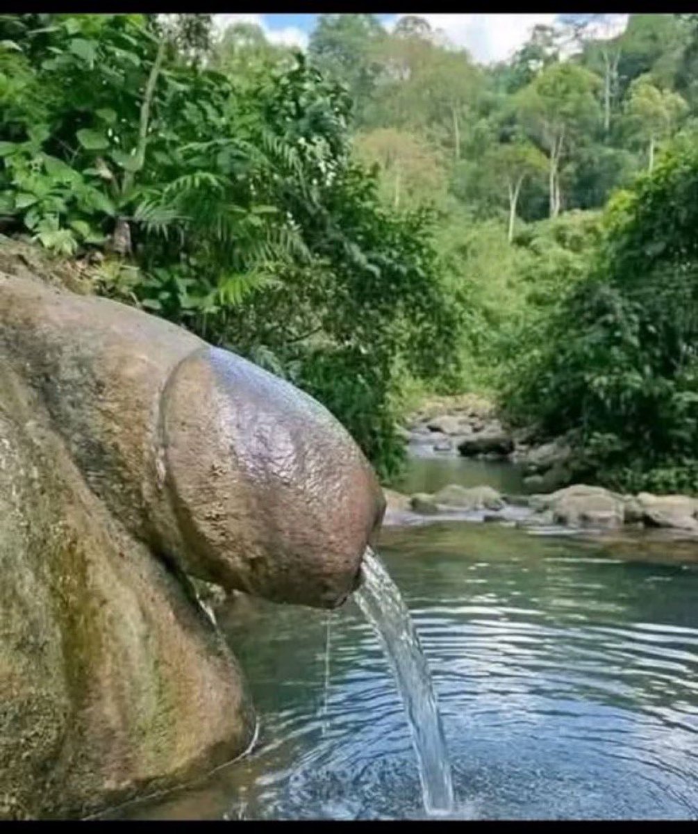 Big Nifer 🥒 tweet media