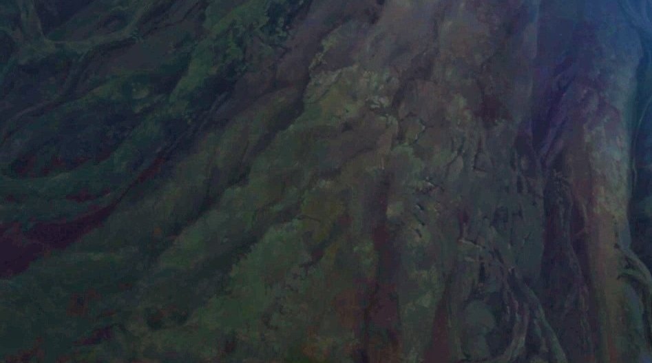 PlushBaru tweet media