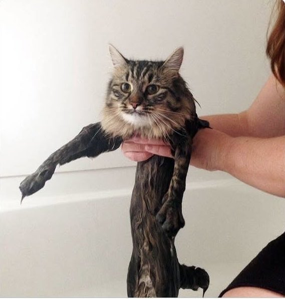 Just Tumi tweet media