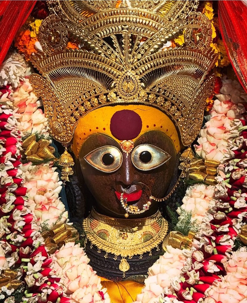 𝐓𝐚𝐫𝐚𝐜𝐡𝐚𝐧𝐝𝐫𝐚 tweet media