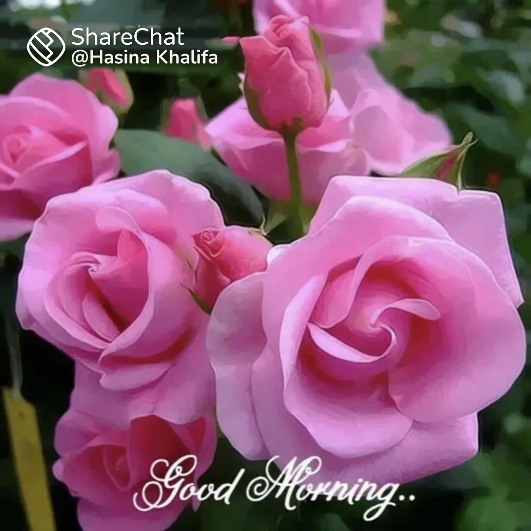 राम सुन्दर सिह tweet media