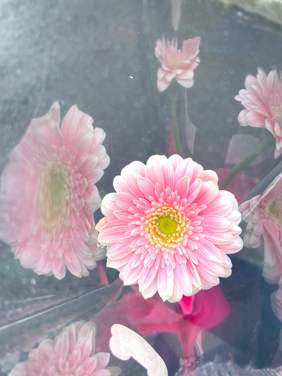 今日は卒園式だった♡
本当に卒園式は泣いてしまう😂
カメラマン係した♡

aiko、元気かなぁ〜🌸♡