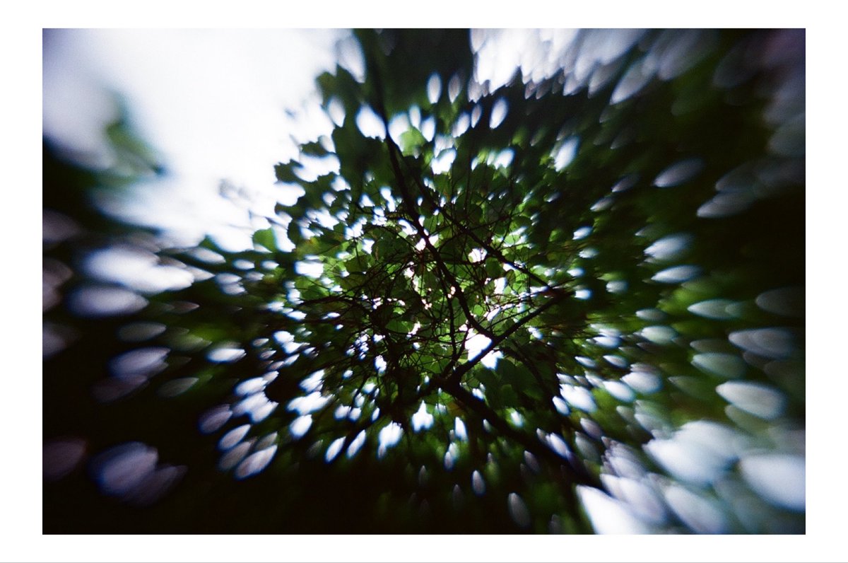 さち@写真垢 tweet media