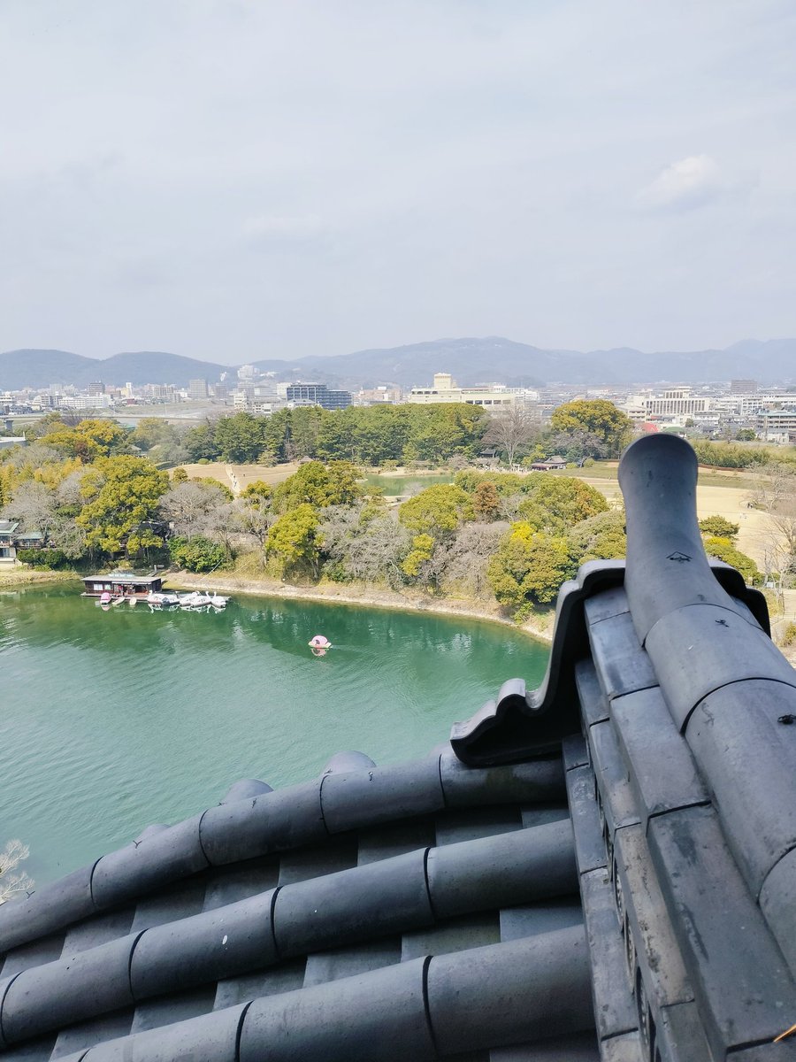 カニ担当 tweet media