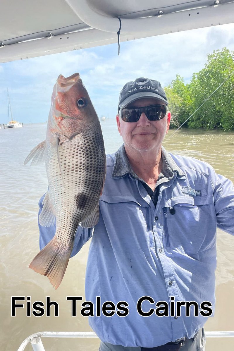 Fish Tales Charters Cairns Sportsfishing Adventure tweet media