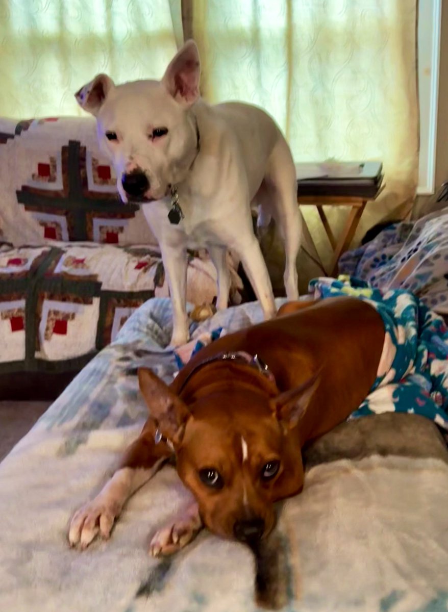 Cristina Eldridge tweet media