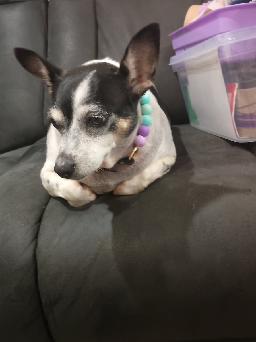 Dammit Sally tweet media