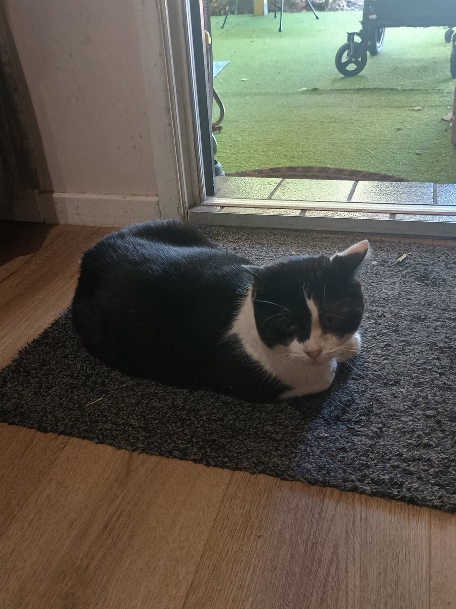 Dammit Sally tweet media